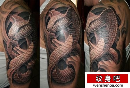 手臂3d蛇纹身图案
