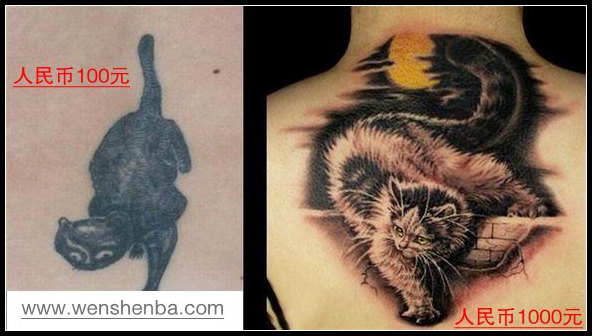 猫咪纹身价格对比