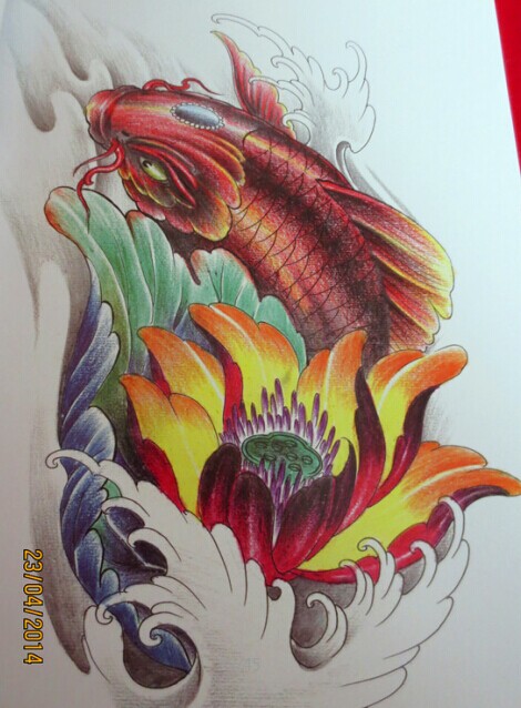 彩色纹身手稿鲤鱼