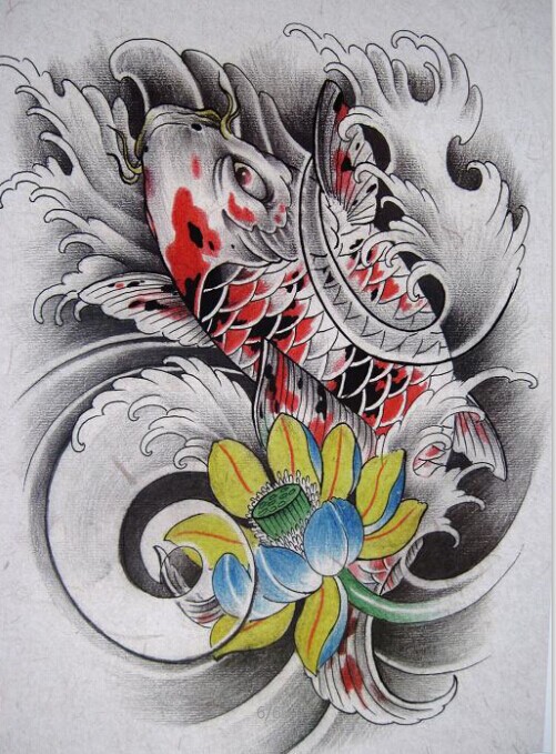 红白黑锦鲤纹身手稿