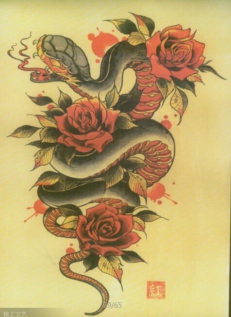 蛇与玫瑰花纹身手稿