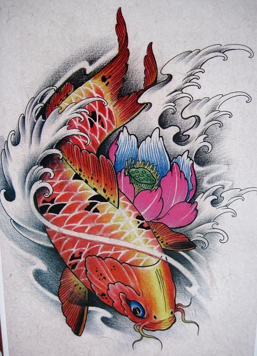 锦鲤纹身图片图稿图片