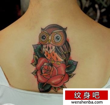 女孩子背部欧美风格猫头鹰与玫瑰花纹身