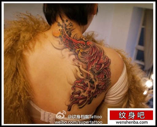 靓女背部好看的彩色凤凰纹身