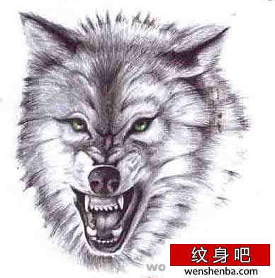 狼纹身狼纹身