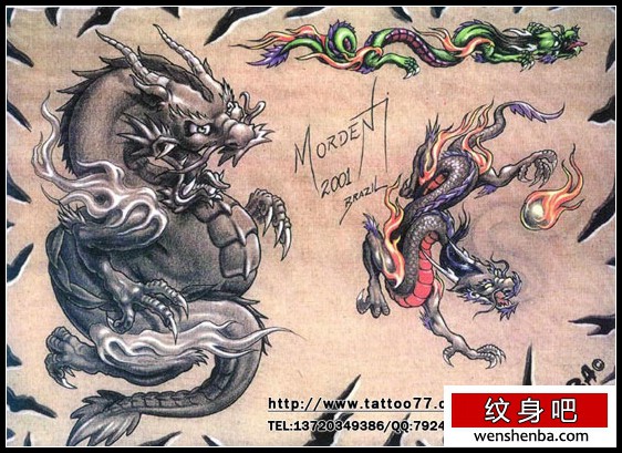 培训学习学校提供一组龙纹身（tattoo)