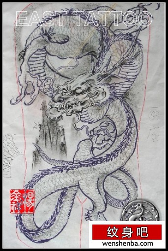 满背割线龙纹身