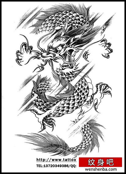 一枚凶猛的龙纹身