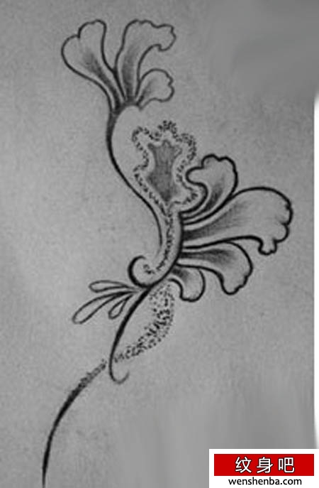 学校图腾花纹身（tattoo)