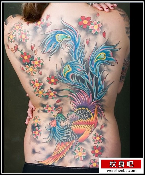 学校满背凤凰樱花纹身（tattoo)
