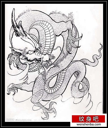 传统龙纹身