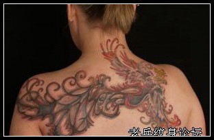 靓女后背凤凰纹身