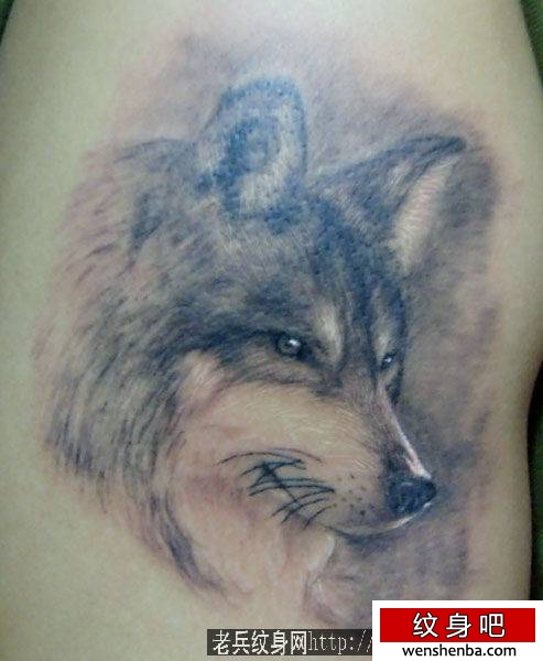 狼纹身一枚帅气的手臂狼头纹身纹身