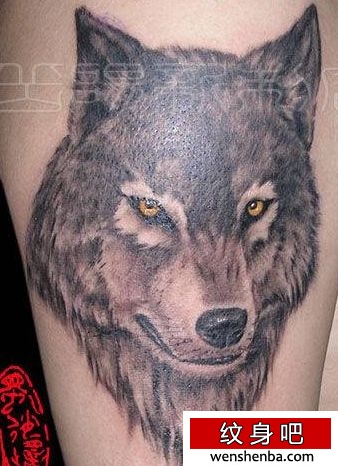 狼纹身霸气的手臂狼头纹身纹身