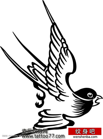 图腾鸽子纹身