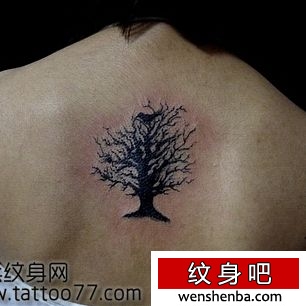 背部的图腾树纹身