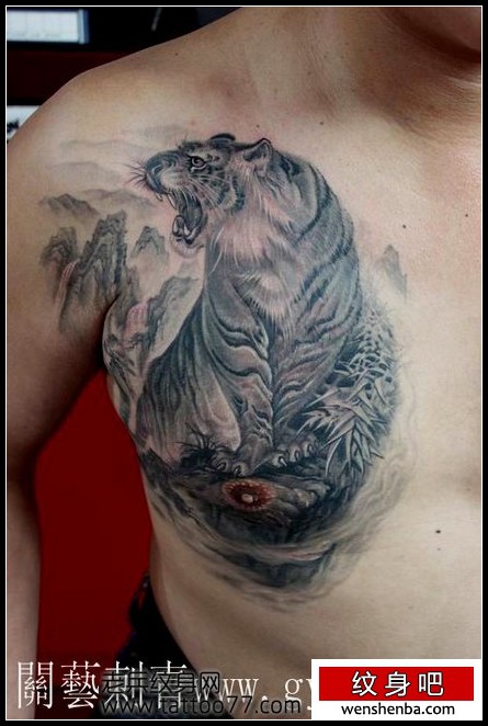 老虎前胸纹身手稿图片
