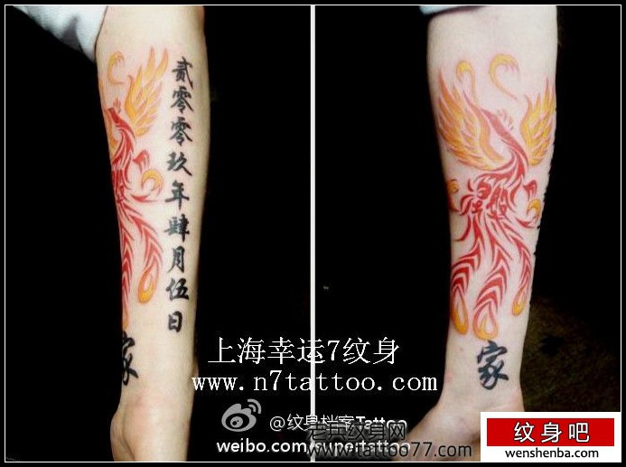 手臂好看的彩色图腾凤凰纹身