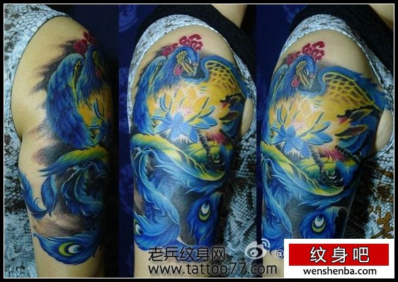 靓女手臂好看时尚的凤凰纹身