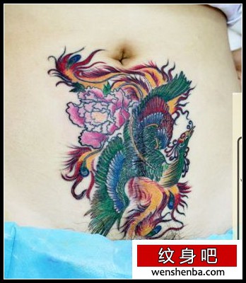 女人腹部疤痕遮盖凤凰纹身