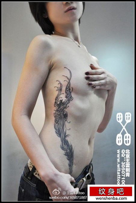 靓女腹部到肋部凤凰与羽毛纹身