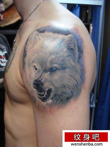 男性手臂凶悍的狼头纹身