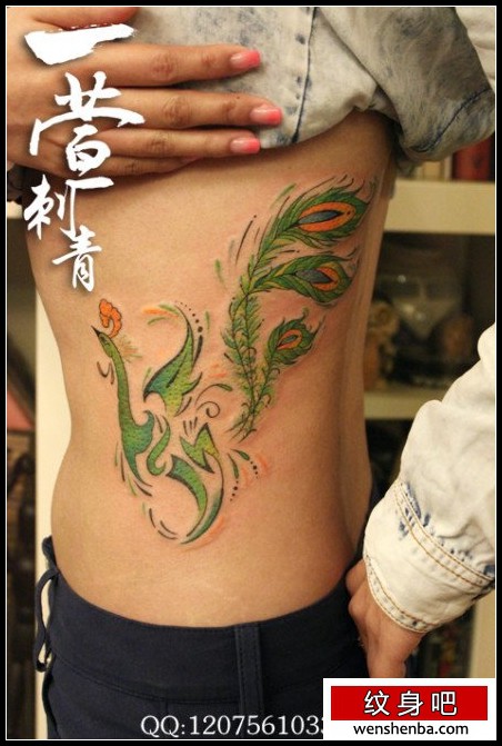 漂亮的女人腰部彩色图腾凤凰纹身