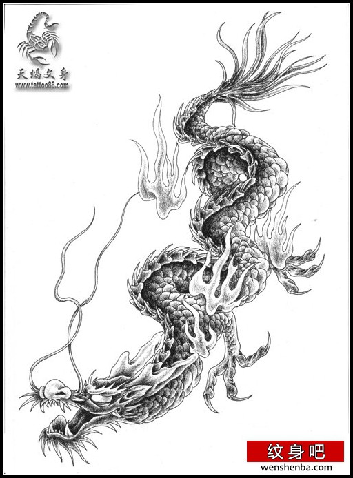 一枚头朝下的龙纹身手稿