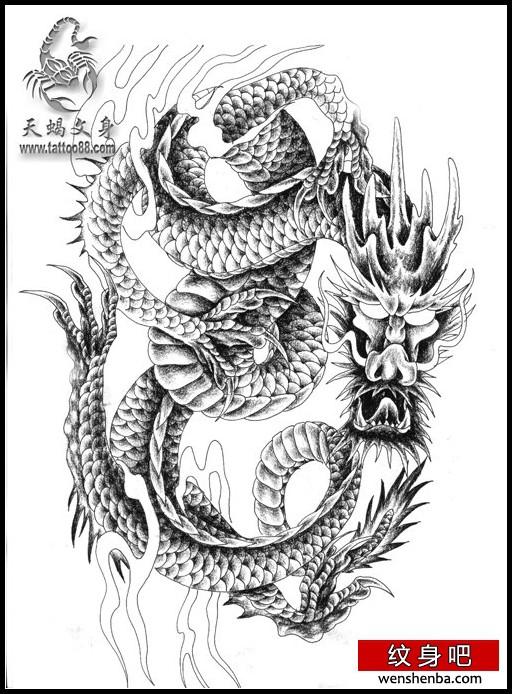 一枚帅气时尚的黑白龙纹身手稿