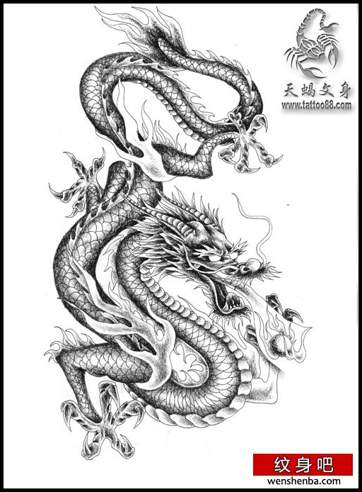 一枚吐龙珠的龙纹身手稿