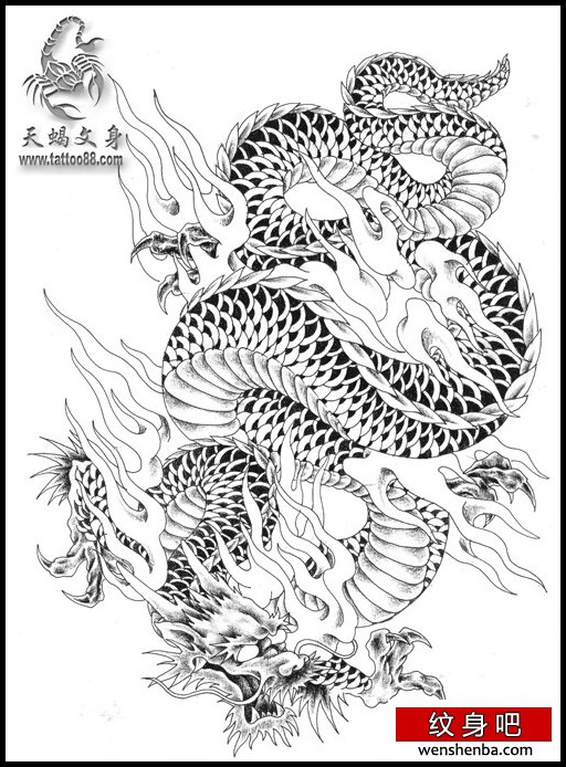 男性喜欢的帅气的满背龙纹身手稿