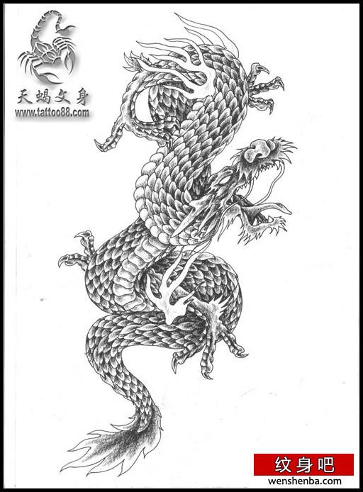 适合纹手臂的时尚的黑白龙纹身