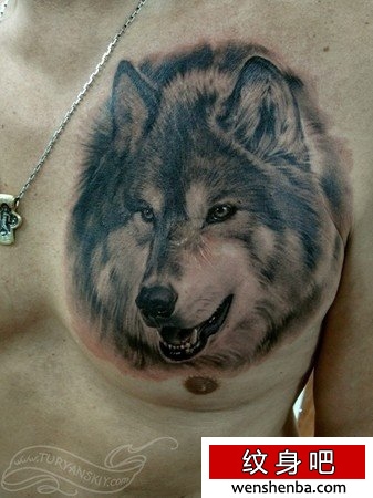 男性前胸超酷的狼头纹身