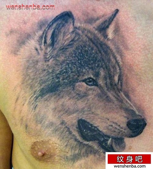 男性前胸时尚时髦的素描狼头纹身
