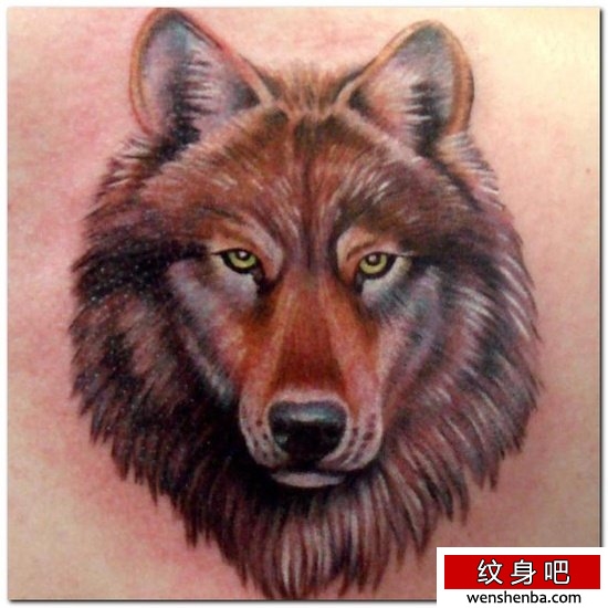 男性喜欢的时尚的狼头纹身