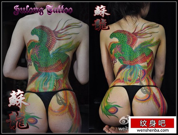 靓女后背时尚的彩色传统凤凰纹身