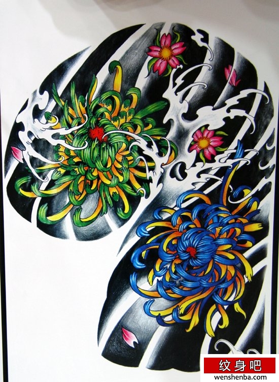 中国的传统半胛菊花纹身手稿展示