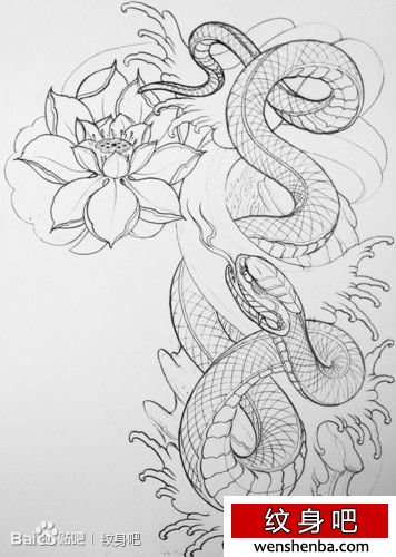 很帅的半胛蛇纹身手稿线稿分享
