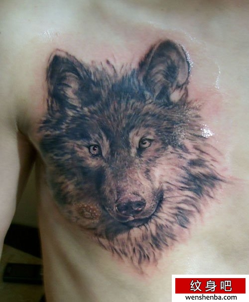 男性胸前时髦的狼头纹身
