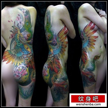 靓女后背时尚的彩色凤凰纹身