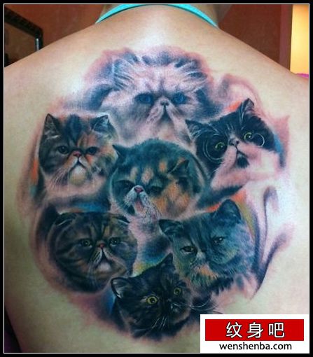 靓女背部胖乎乎的猫咪纹身