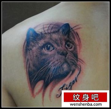 肩背一枚猫咪纹身