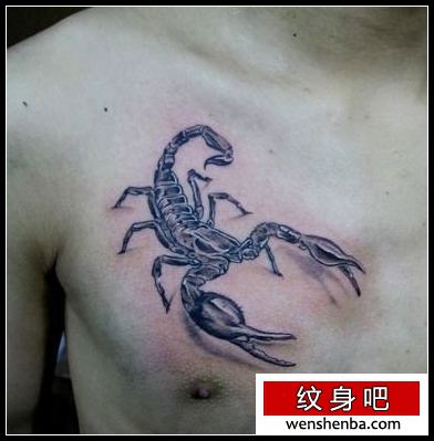 胸部一枚帅气的蝎子纹身