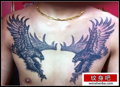 胸部帅气的一枚老鹰纹身