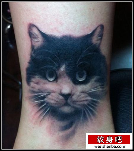 女人腿部写实猫咪纹身