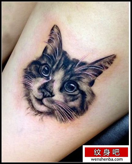 靓女腿部猫咪头像纹身