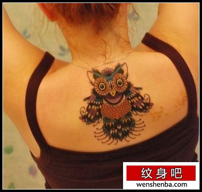 女人背部时髦精致的猫头鹰纹身