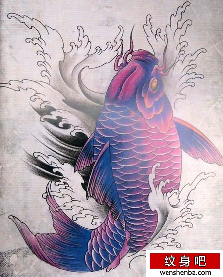 漂亮的彩色鲤鱼纹身手稿