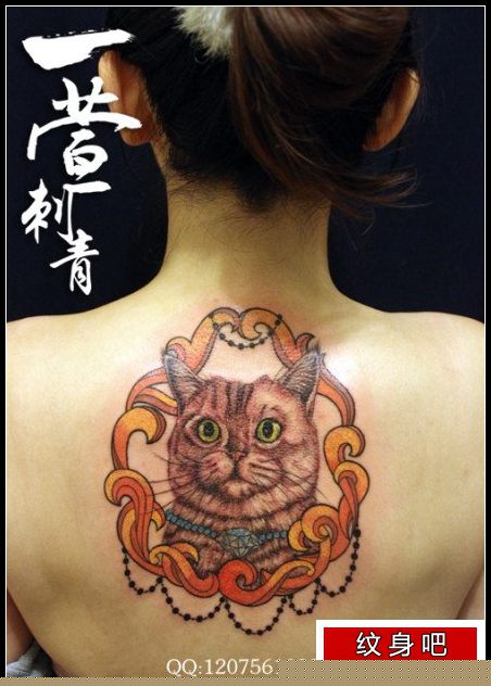 女人背部一枚猫咪纹身