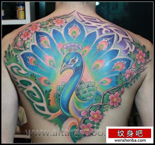 男性背部漂亮的彩色孔雀纹身